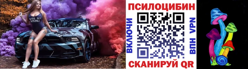где купить   Козельск  Галлюциногенные грибы ЛСД 