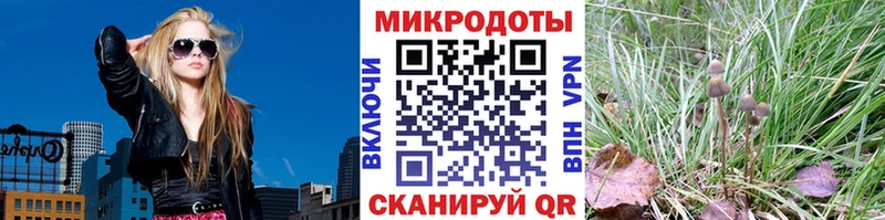 Псилоцибиновые грибы MAGIC MUSHROOMS Козельск